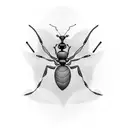ant tattoo design idea