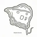 Toast with cheese tattoo design idea