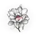 magnolia flowers with dogwood flowers tattoo design idea