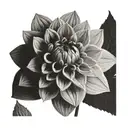 greyscale dahlia tattoo design idea