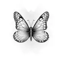 Diana fritillary Butterfly tattoo design idea