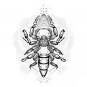 A scorpion doing a yoga pose tattoo design idea