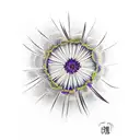 Violet,aster and dandelion flower  tattoo design idea