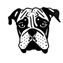 boxer dog fine line tattoo design idea