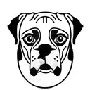 boxer dog fine line tattoo design idea