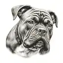 cachorro american bully sheipado  tattoo design idea