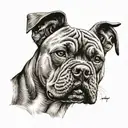 cachorro american bully sheipado  tattoo design idea