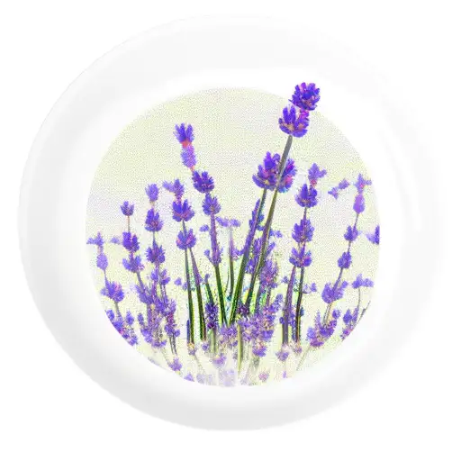 hand mirror with lavender  tattoo design idea