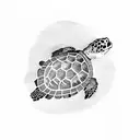sea turtle  tattoo design idea