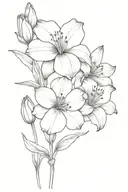 daisy flower and Lilly flower and poppy flower and gladiolus flower and amaryllis flower and rose flower  tattoo design idea
