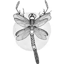 Dragonfly tattoo design idea