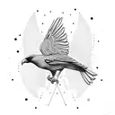 crow and dove  tattoo design idea