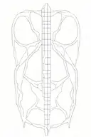 vertebrae tattoo design idea