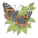nz red admiral butterfly sitting on nettle plant. tattoo design idea