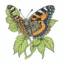 nz red admiral butterfly sitting on nettle plant. tattoo design idea
