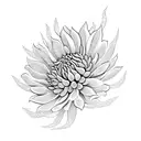 Chrysanthemum  Japanese design  tattoo design idea