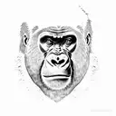 gorilla with scratches  tattoo design idea