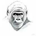 gorilla looks really mad, with its brows drawn together and its muscles tense. It has a scratched-up face, and one of it tattoo design idea