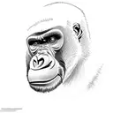 The gorilla’s face is filled with fury, its brows furrowed and muscles tense. Its eyes narrow with a fierce intensity. O tattoo design idea