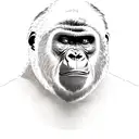 The gorilla’s face is filled with fury, its brows furrowed and muscles tense. Its eyes narrow with a fierce intensity. O tattoo design idea