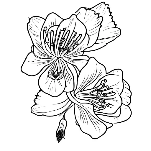 rocky mountain columbine tattoo design idea
