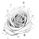 raindrops on roses tattoo design idea
