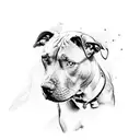 Pitbull, serce, milosc tattoo design idea