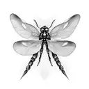 Dragonfly tattoo design idea