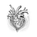 anatomic heart with toxic foxglove (digitalis purpurea l) growing out aorta tattoo design idea