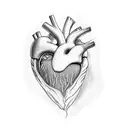 anatomic heart with toxic foxglove (digitalis purpurea l) growing out aorta tattoo design idea