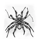Spider tattoo design idea