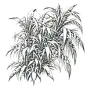 sugar cane bush  tattoo design idea