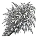 sugar cane bush  tattoo design idea