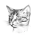 cat skull tattoo design idea