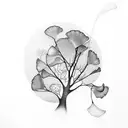 ginkgo  tattoo design idea