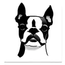 In the realm of simplicity, the portrait of Stella, your cherished Boston Terrier, emerges with pure elegance. Facing fo tattoo design idea