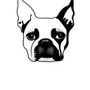 In the realm of simplicity, the portrait of Stella, your cherished Boston Terrier, emerges with pure elegance. Facing fo tattoo design idea