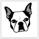 In the realm of simplicity, the portrait of Stella, your cherished Boston Terrier, emerges with pure elegance. Facing fo tattoo design idea