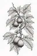 Fig tree tattoo design idea