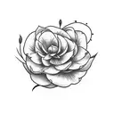 hummingbird and camellias tattoo design idea