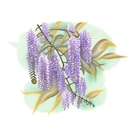 wisteria, travel tattoo design idea