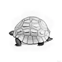 tortoise tattoo design idea