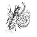 neocaridina shrimp tattoo design idea