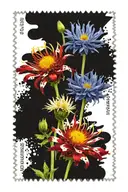three postage stamps with flowers cornflower, chamomile, lily with the names Yesenia, Egor, Pavel tattoo design idea