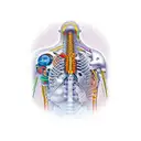 bio mechanical on shoulder tattoo design idea