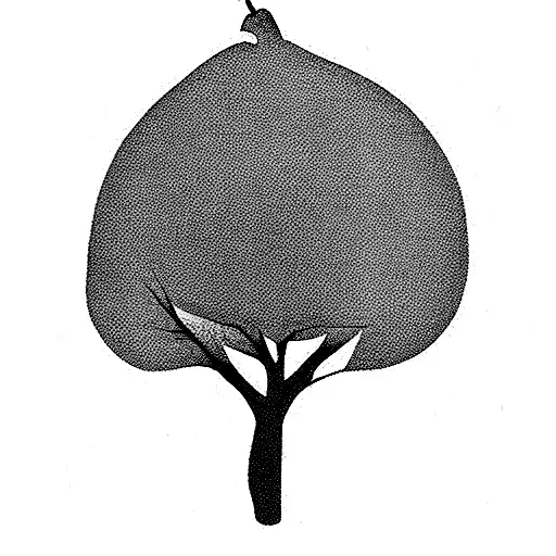 pear tree tattoo design idea