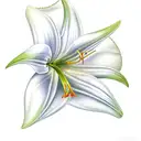 Easter lily tattoo design idea