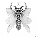 cicada tattoo design idea