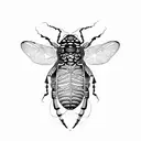 cicada and mantra tattoo design idea