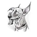 Bull Terrier dog skull  tattoo design idea